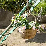 B&B Palazzo Cacace Relais 3*