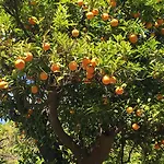 Palazzo Cacace Relais B&B 3*